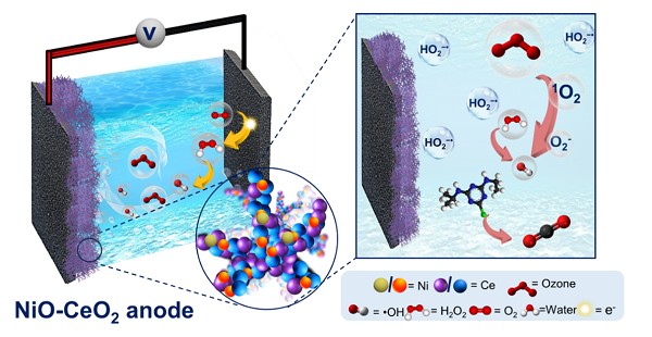 dechlorination of highly toxic trace organic pollutants.