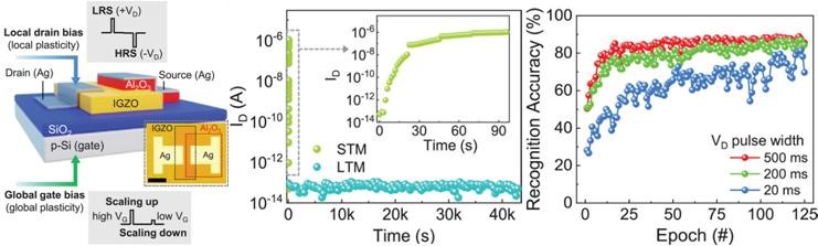 Contact-Engineered IGZO Memtransistor Device Structure, Long-Term and Short-Term Memory Mimicry, and Image Recognition Accuracy Analysis

 