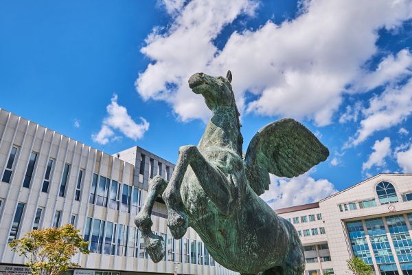 광운대학교-강남구, 로봇·인공지능(AI) 산업 육성 및 인재 양성 ‘맞손’