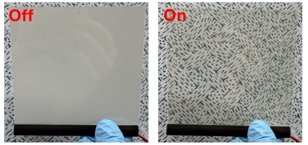 smart windows on/off
